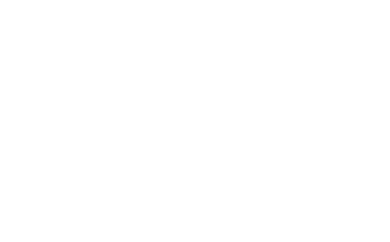 Noble Willasa logo